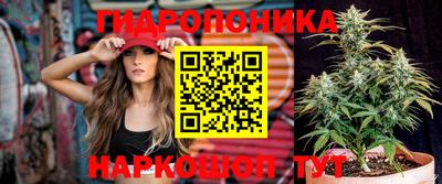 кокс Кинель