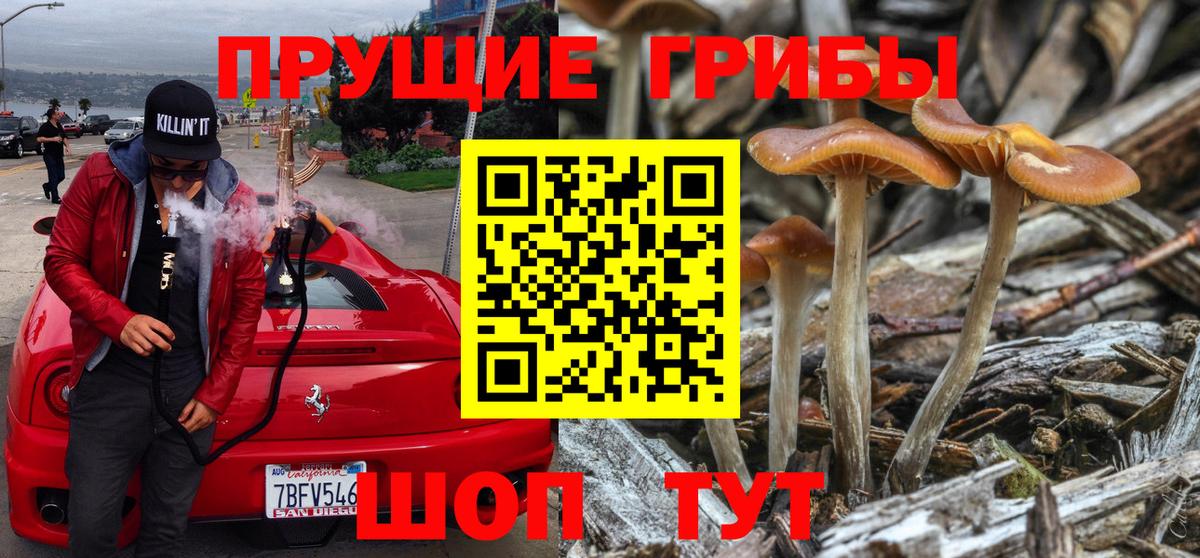 Псилоцибиновые грибы ЛСД Фрязино